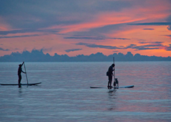 Inflatable Paddle Board: The Best Manufacturer You Can Purchase From