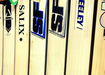 The Importance of Willow Grading in the Manufacturing of Kashmiri Willow Cricket Bats