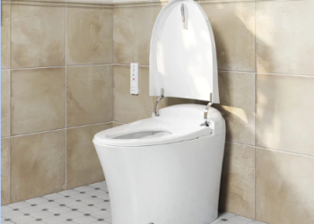 ADA Compliance and Accessibility: Why the Horow T16A Toilet with Built-In Bidet is Ideal for All Users